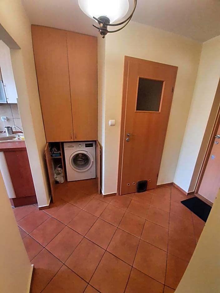 Ivory House (Marymont-Ruda)