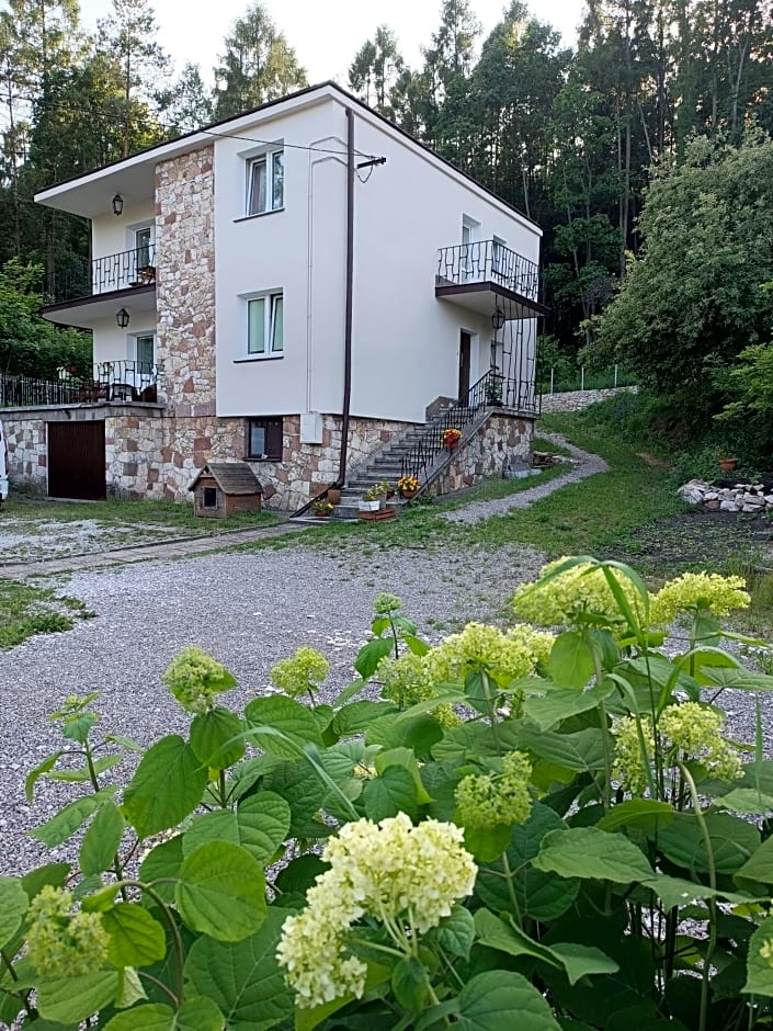 Willa Bona blisko Zamku Królewskiego i Rezerwatu zapraszam na grę miejską Magiczne Chęciny