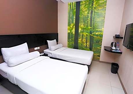 Superior Double or Twin Room