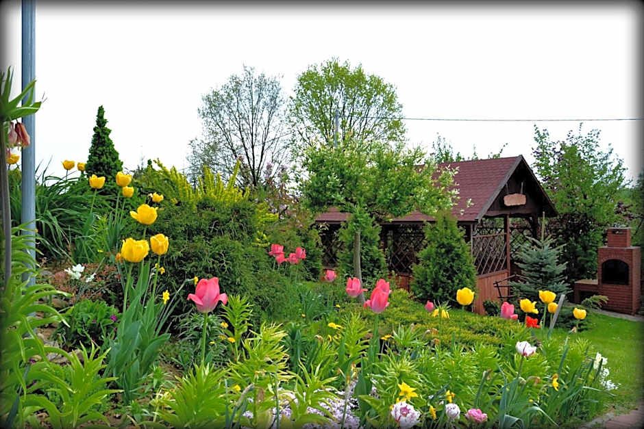 Agroturystyka ZIELONA ZAGRODA w Kosztowej