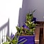 Riad Dar Afram