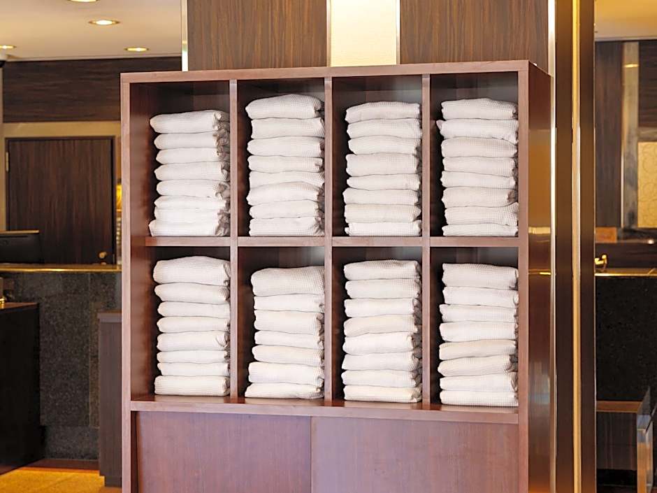 Nishitetsu Inn Tenjin