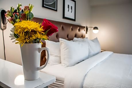 Room, 1 King Bed with Sofa bed, Park View (Hearing Accessible) (1 King Bed and 1 Double Sofa Bed)