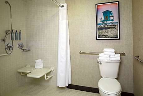 Suite, 1 Bedroom (1 Queen Bed and 1 Double Sofa Bed)