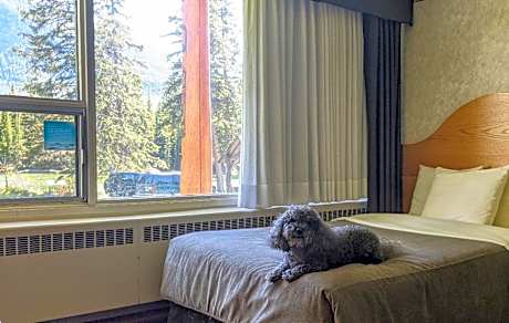 Double Room with Two Double Beds - Pet Friendly