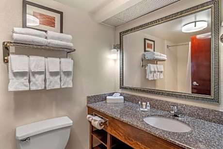 Comfort Inn & Suites Athens North