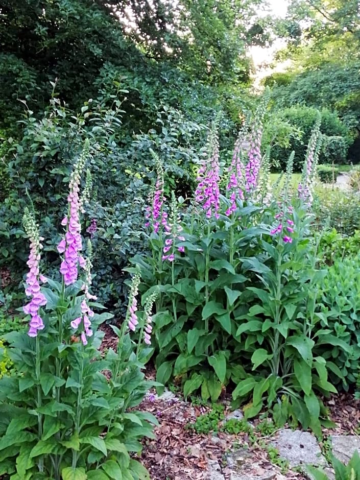 Chambre E André Le Domaine Des Jardins De Bracquetuit