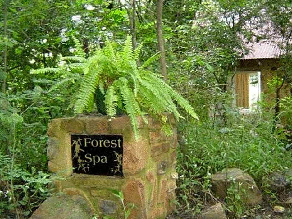 Forest Creek Lodge and Spa