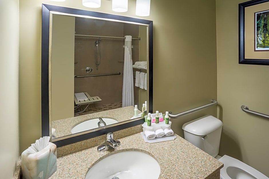 Holiday Inn Express Hotel & Suites St. Paul - Woodbury By IHG