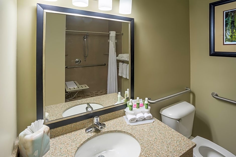 Holiday Inn Express Hotel & Suites St. Paul - Woodbury