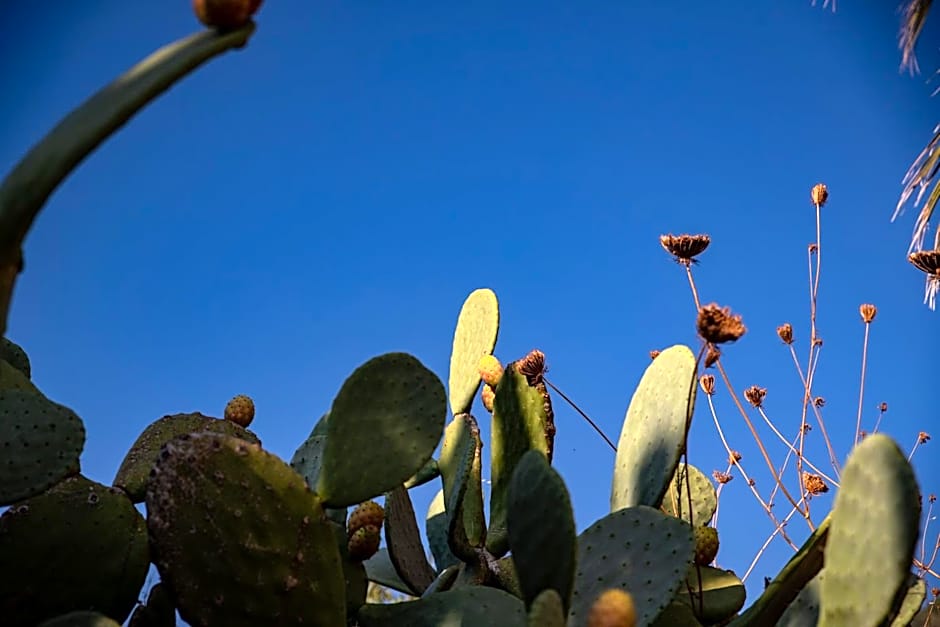 Hotel L'Ariana - Il Borgo di Rinella