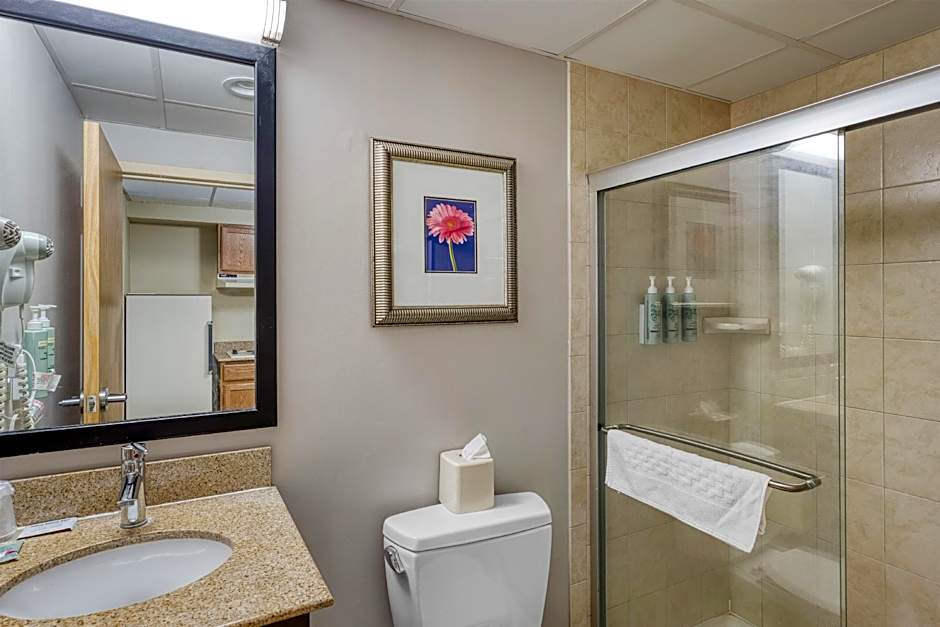 Best Western Owego Inn