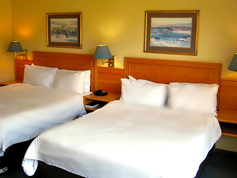 Safari Hotel & Convention Centre