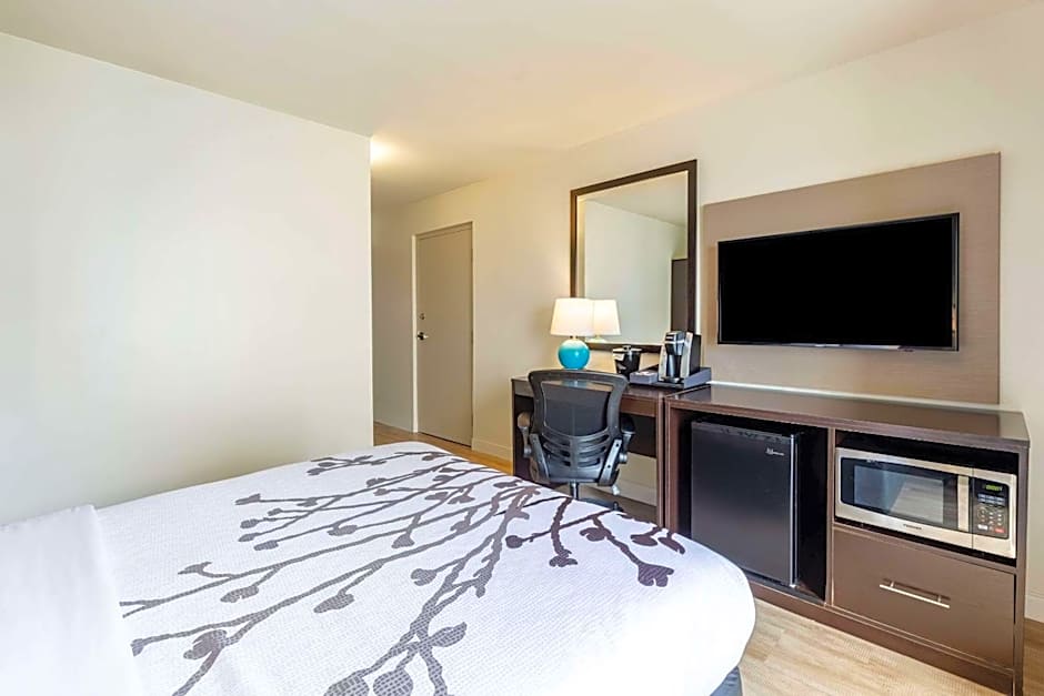 Photo 1 of 4 of 1 Queen Bed, Accessible