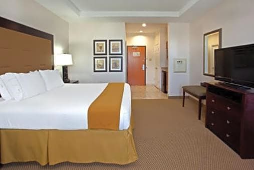 Holiday Inn Express Texas City