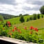 Natur & Wander Hotel Gassbachtal