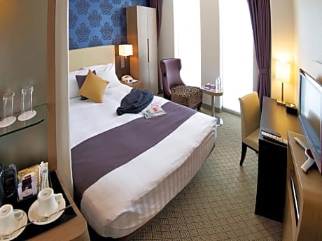 Deluxe Non Smoking Room with 1 double bed