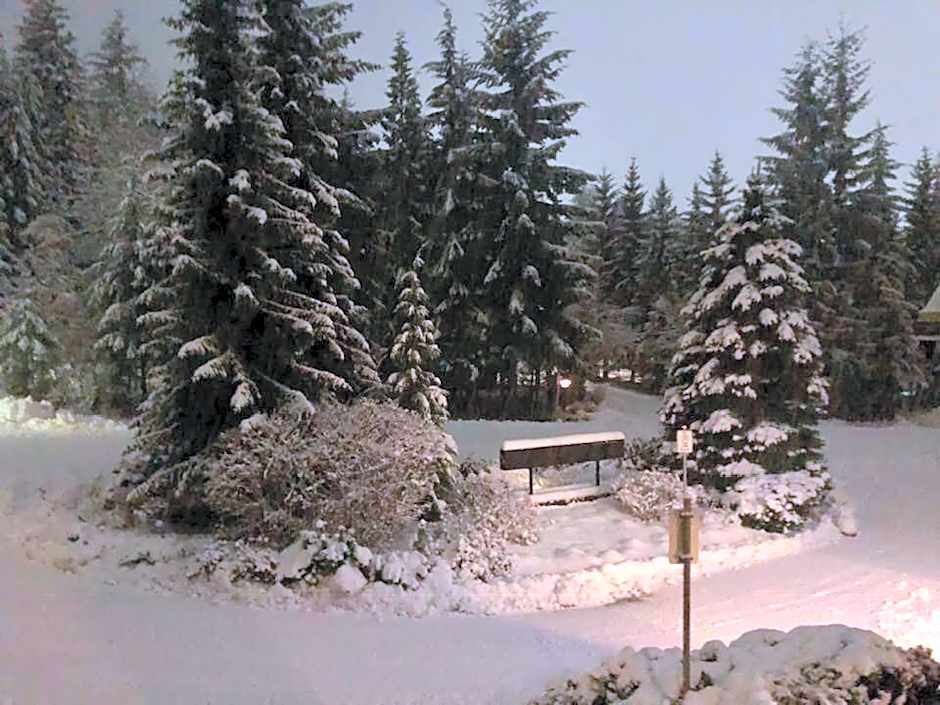 Powderhorn by Whistler Blackcomb Vacation Rentals