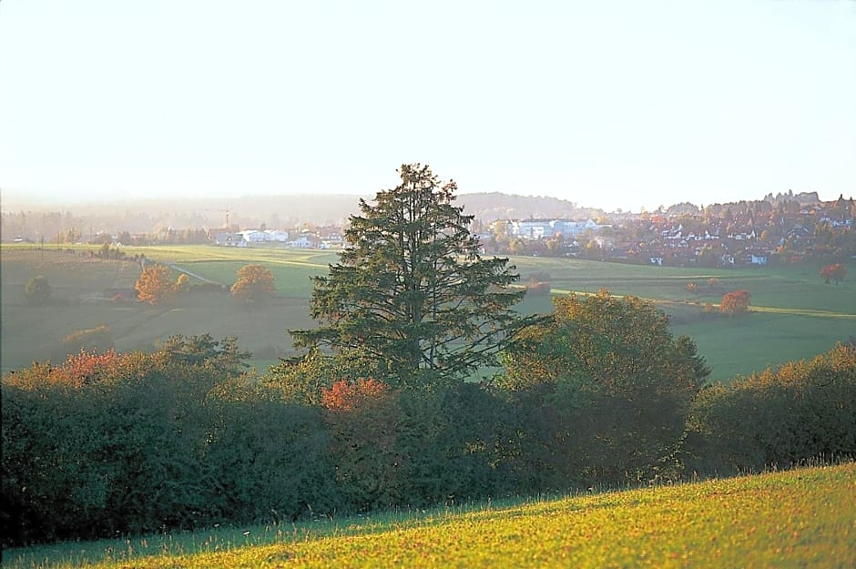 Möhringers Schwarzwald Hotel