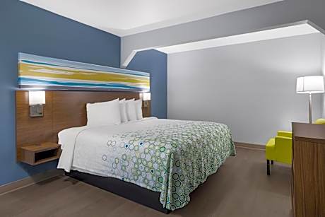 Studio King Room Disability Access Non-Smoking