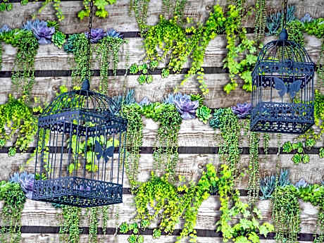 ibis budget Paris Porte de Vanves