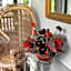 Alexander Mansion  Bed and Breakfast