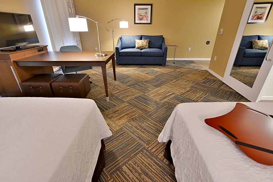 Hampton Inn By Hilton & Suites Chippewa Falls