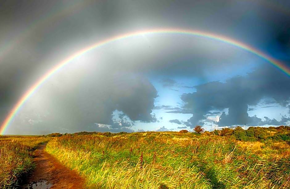 INSEL-LAND-HOTEL MICHAELSEN -Boutique Hotel- im Ostland mit Yoga u Sauna