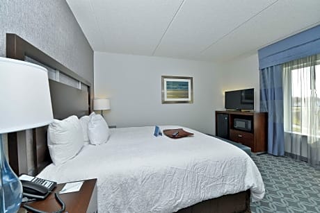 1 King Bed Nonsmoking