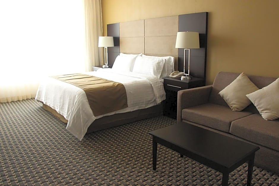 Holiday Inn Mexico Santa Fe By IHG