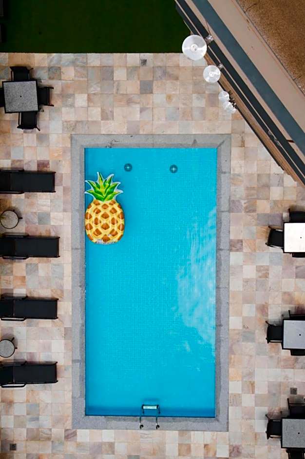 Max Savassi Apart Service