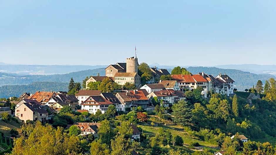 Hotel Krone Regensberg