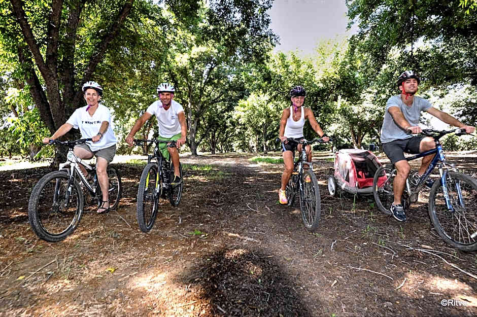 Vitrage Holiday Village and Spa