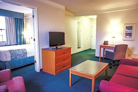 1 Queen Bed Deluxe Suite Non-Smoking