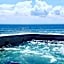 rock n reef
