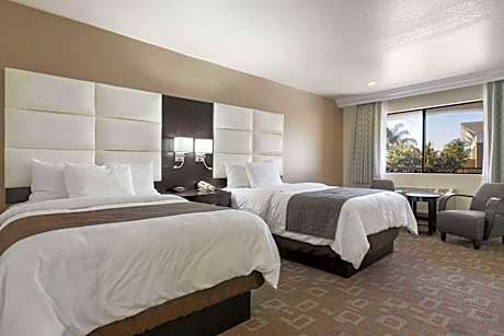 Double Room - Disability Access/Non-Smoking