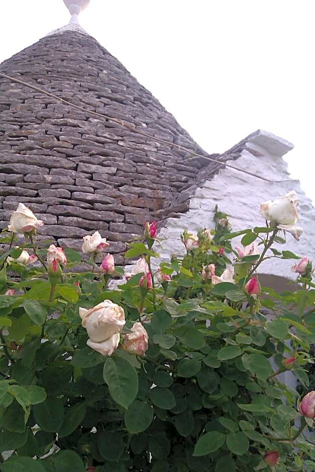 Trulli la casa di Rosa