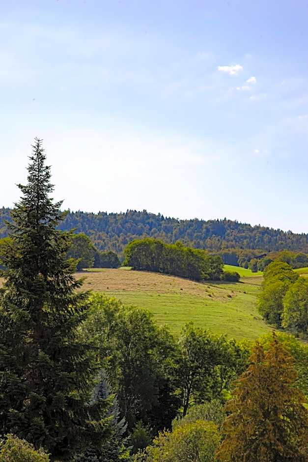 LA BATISSE l'arbre gris