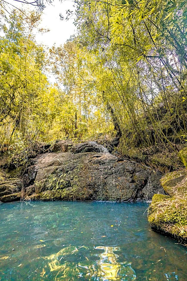Morada Reino Encantado