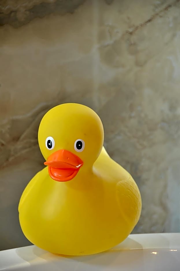 De Hoek Country Hotel