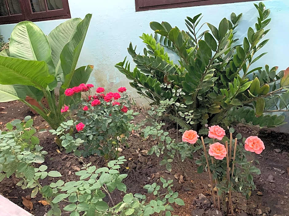 D Heart Homestay