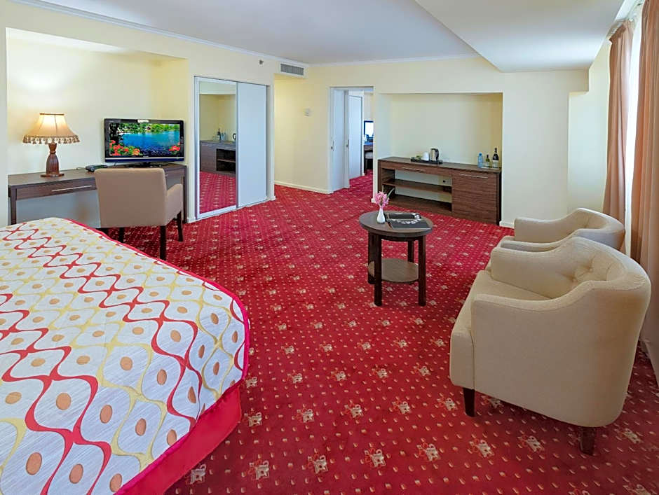 Ani Plaza Hotel