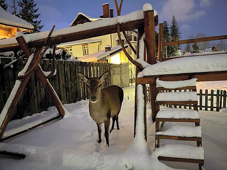 Willa u Kośle Zakopane sauna i bilard