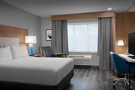 Queen Studio Suite