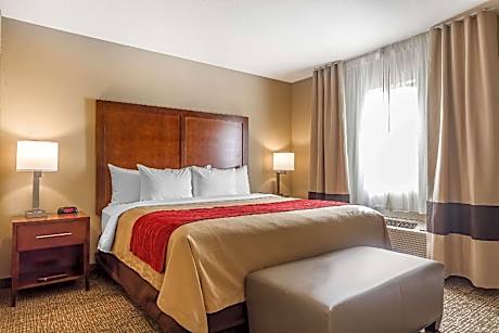 2 Bedroom Suite with 1 King Bed and Sofabed- No Smoking