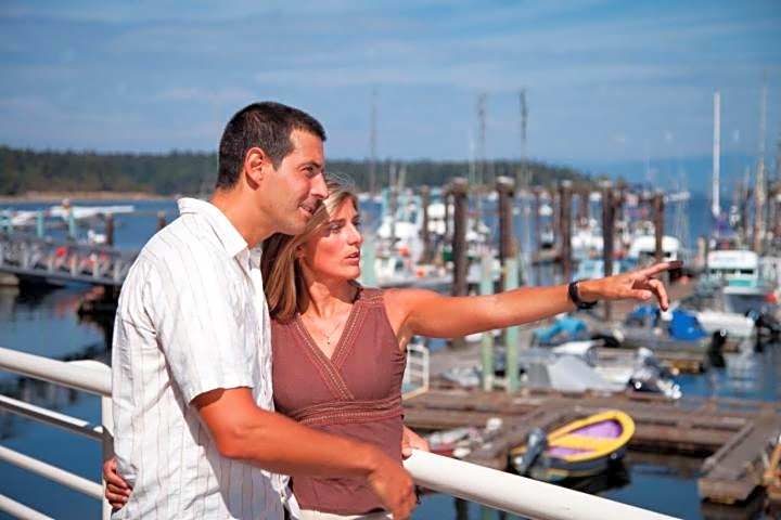 Painted Turtle Guesthouse