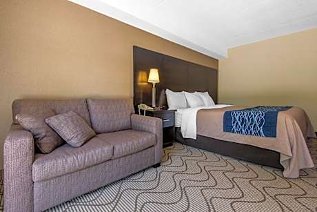 Efficiency Queen Room with Sofa Bed - Non-Smoking