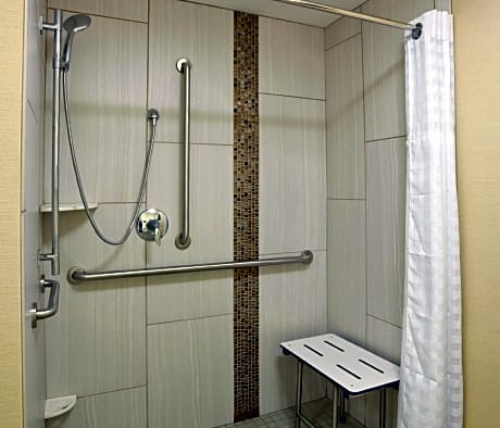 1 King Accessible Roll In Shower Studio Non-Smoking
