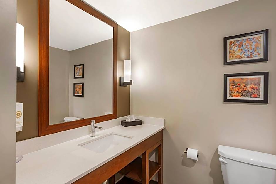 Comfort Inn & Suites Gap Amish Country