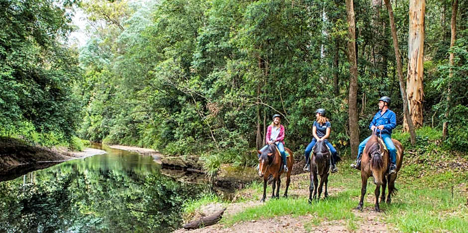 Glenworth Valley Wilderness Adventures